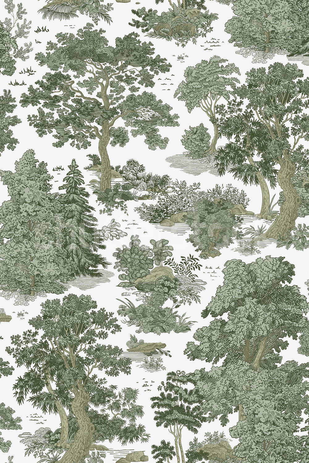 Forest Dreamscape