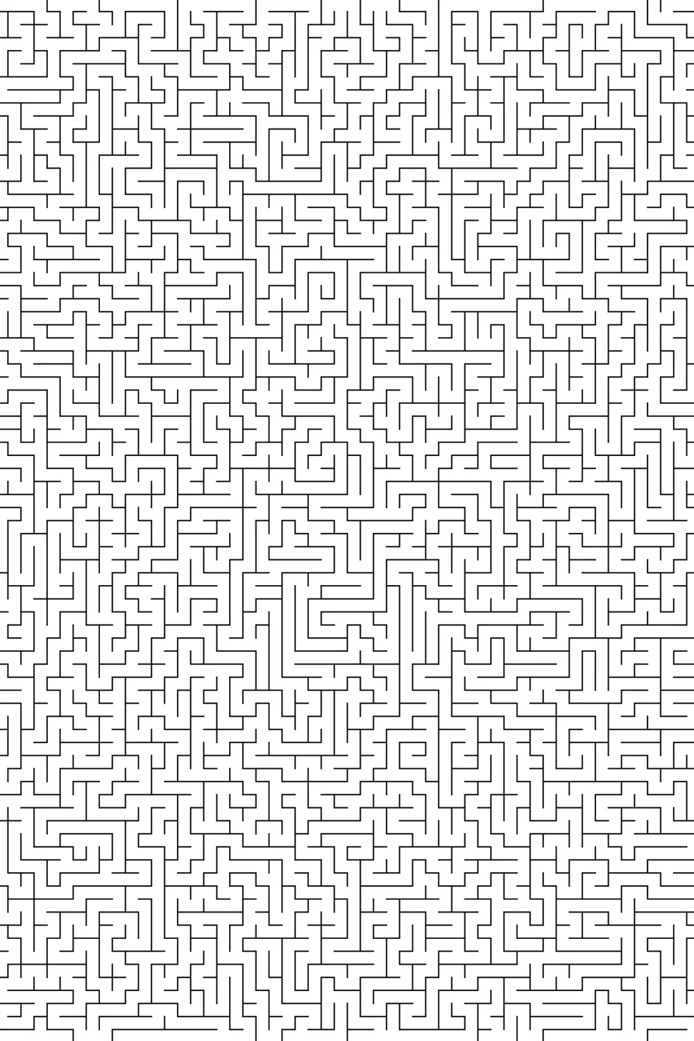 Maze