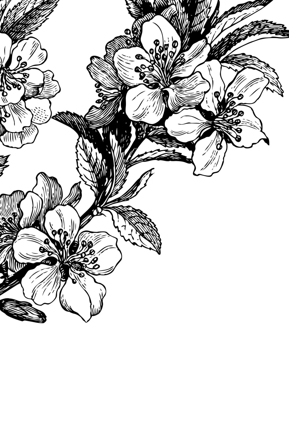 Springtime, Black&white