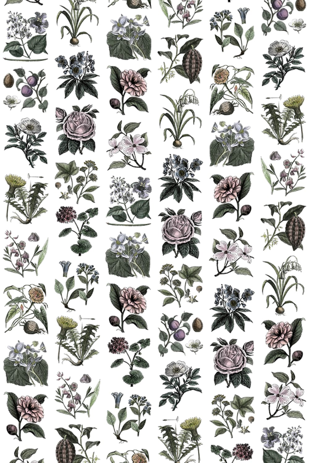 Classic flower wallpaper for the kitchen or hallway