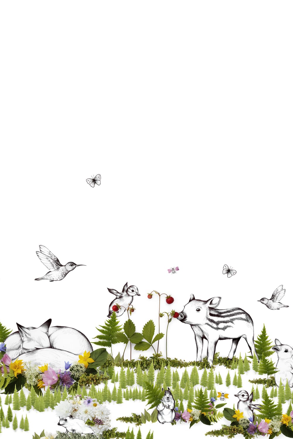 Meet the animals of the woods