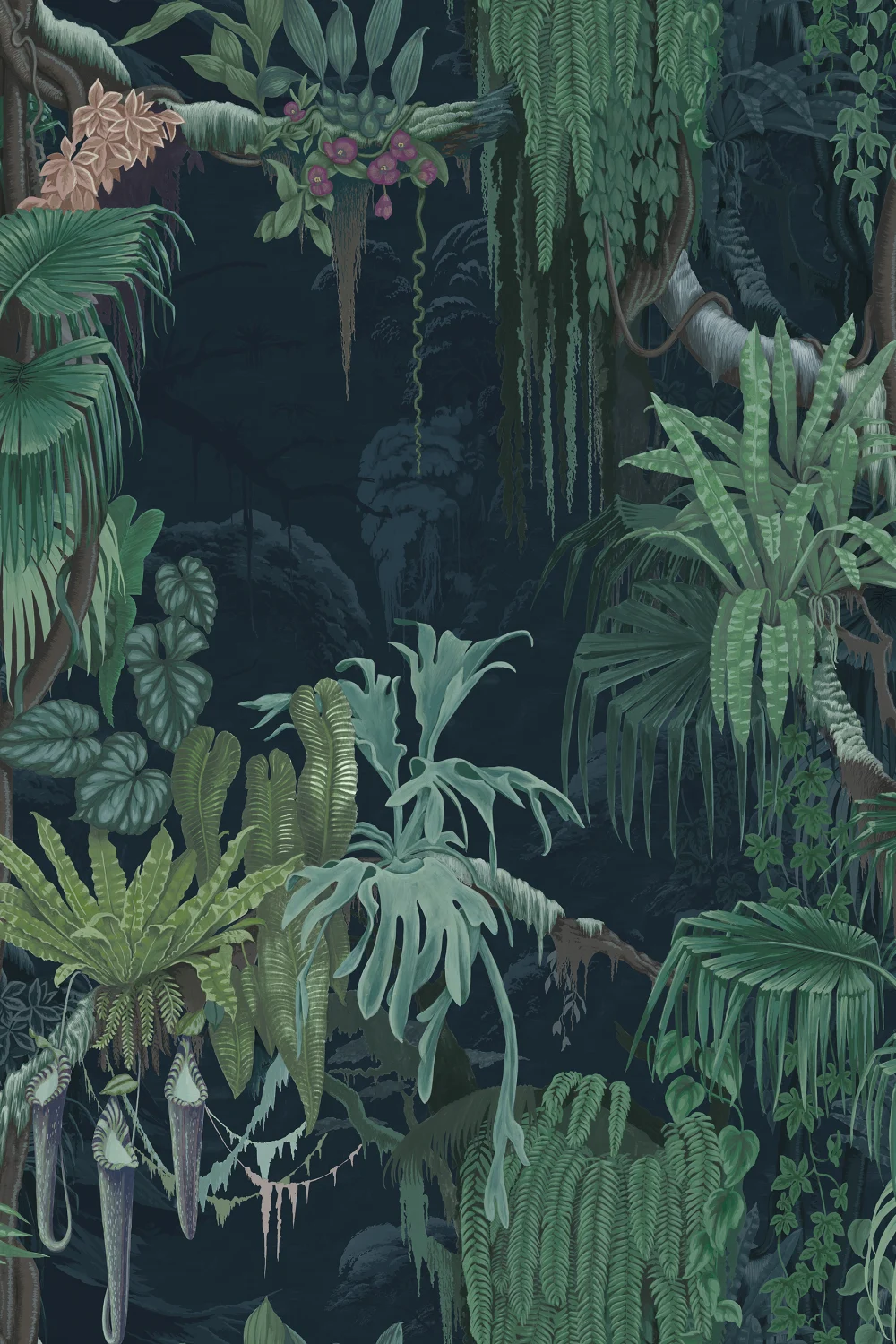 Home of the chameleon