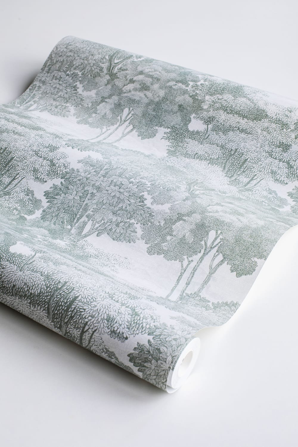 Extravagante couronne d'arbres avec bordure