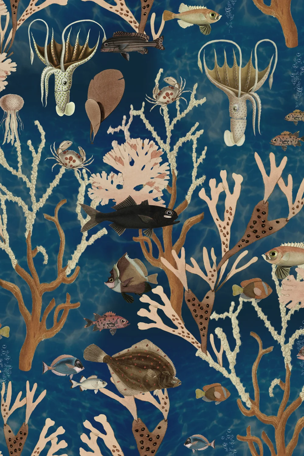 Aquarium, Ocean