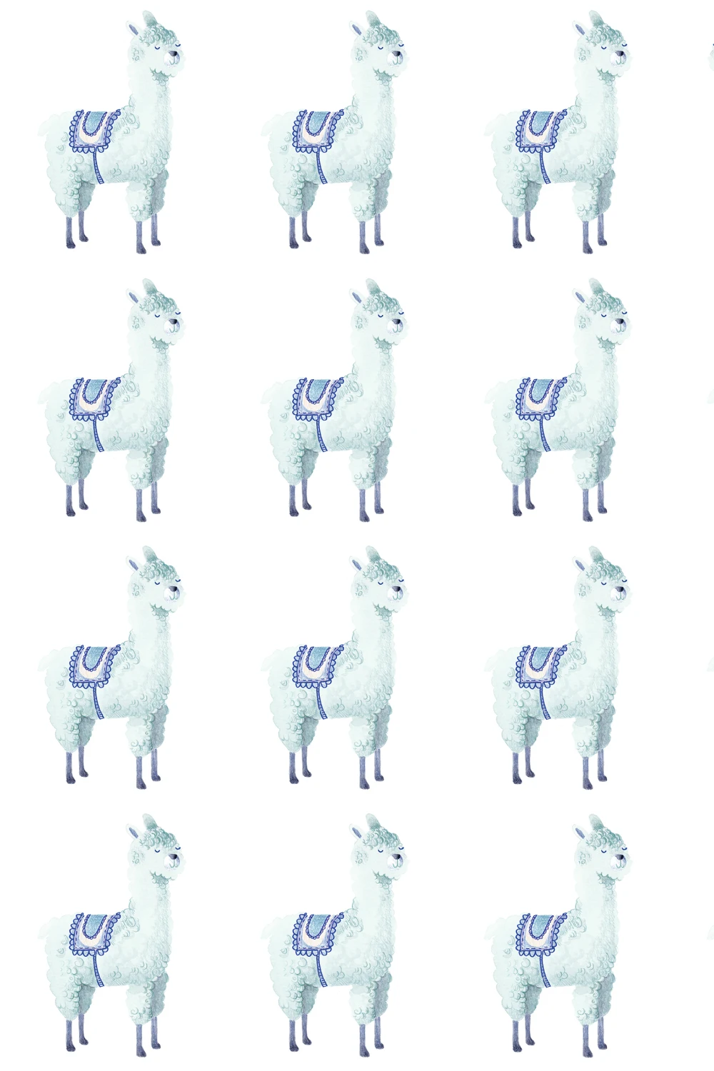 Alpaca Rebel, Sky