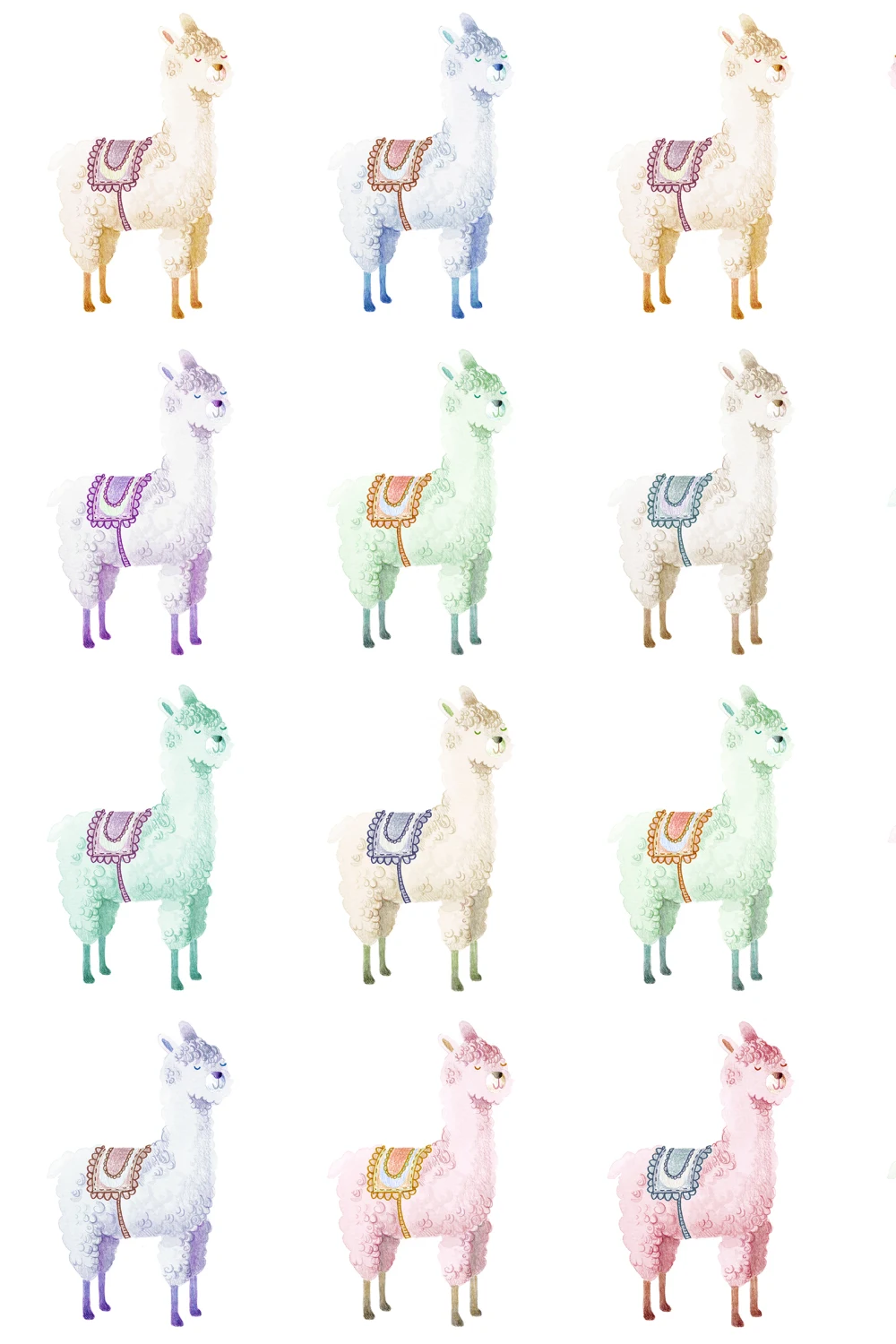 Alpaca Rebel, Rainbow