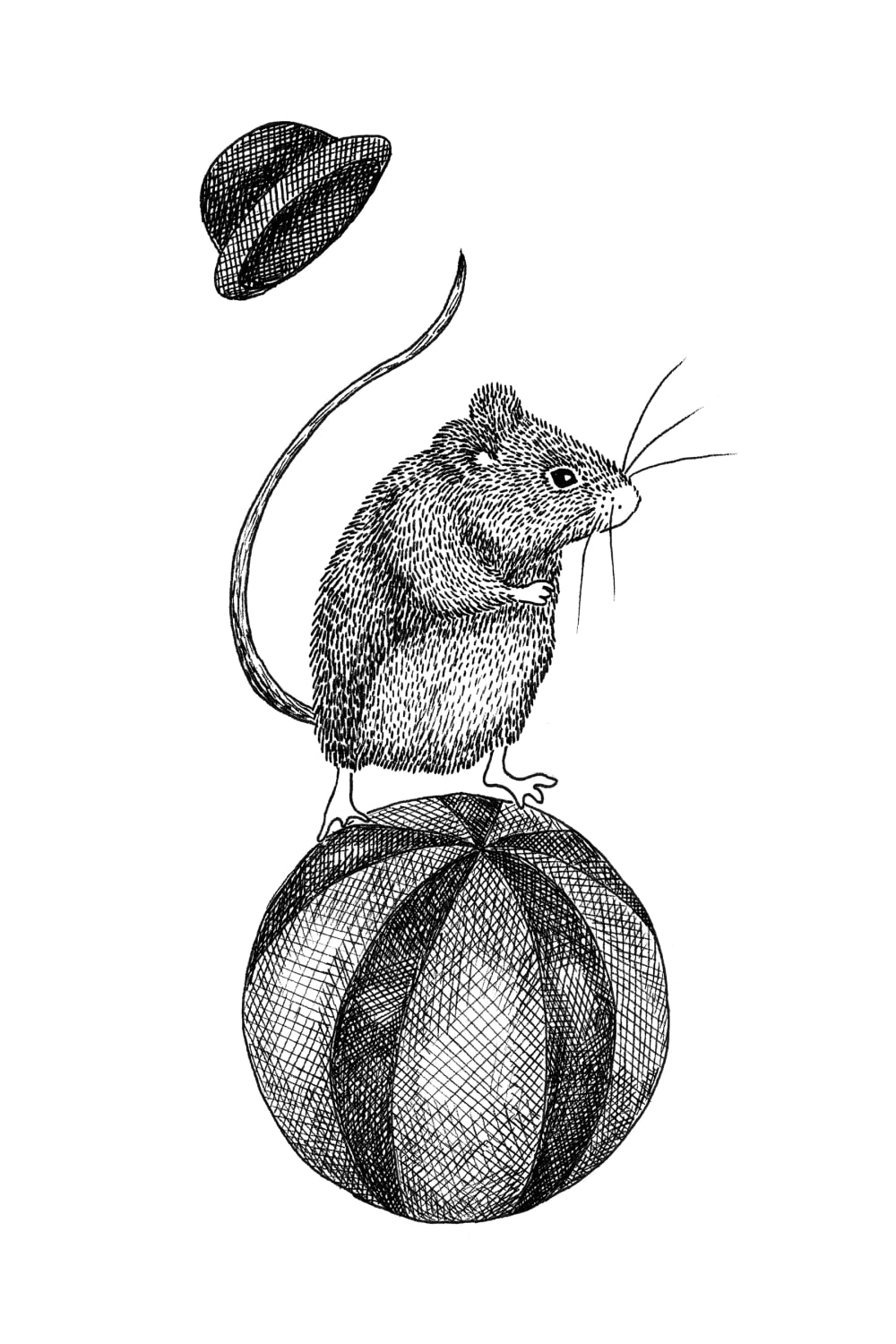 Circus Animal, Maximus