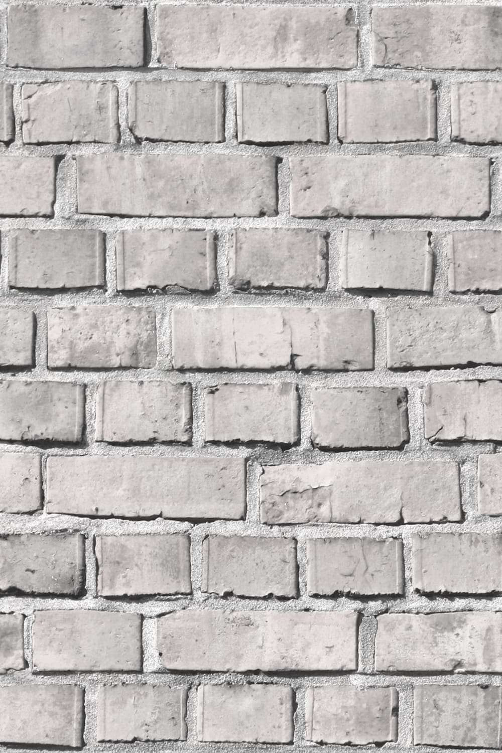 Bricks Ash