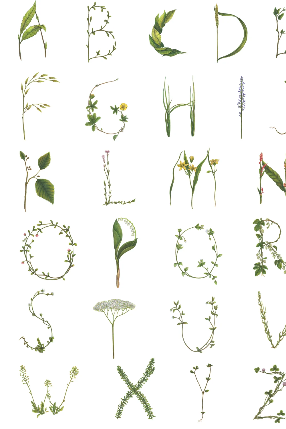 Floral Alphabet Mini English