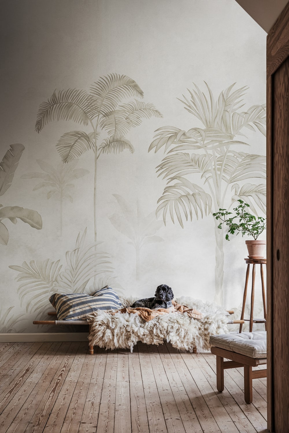 Vue chic sur les palmiers