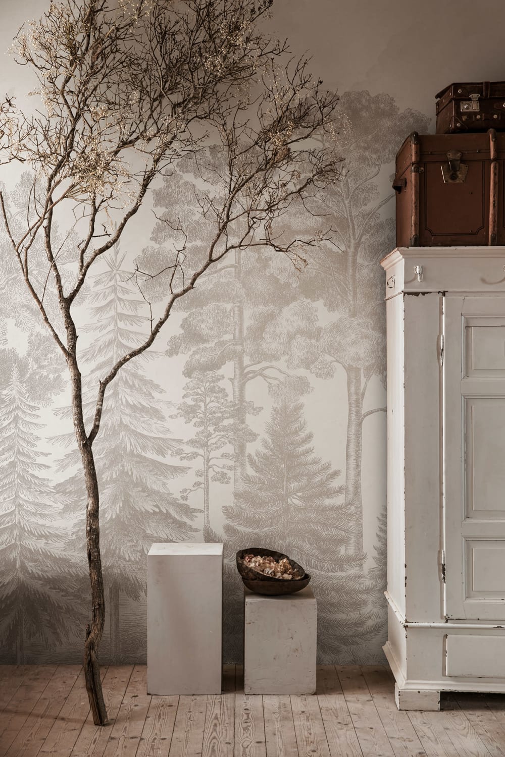 A Soft Scandinavian Bellewood