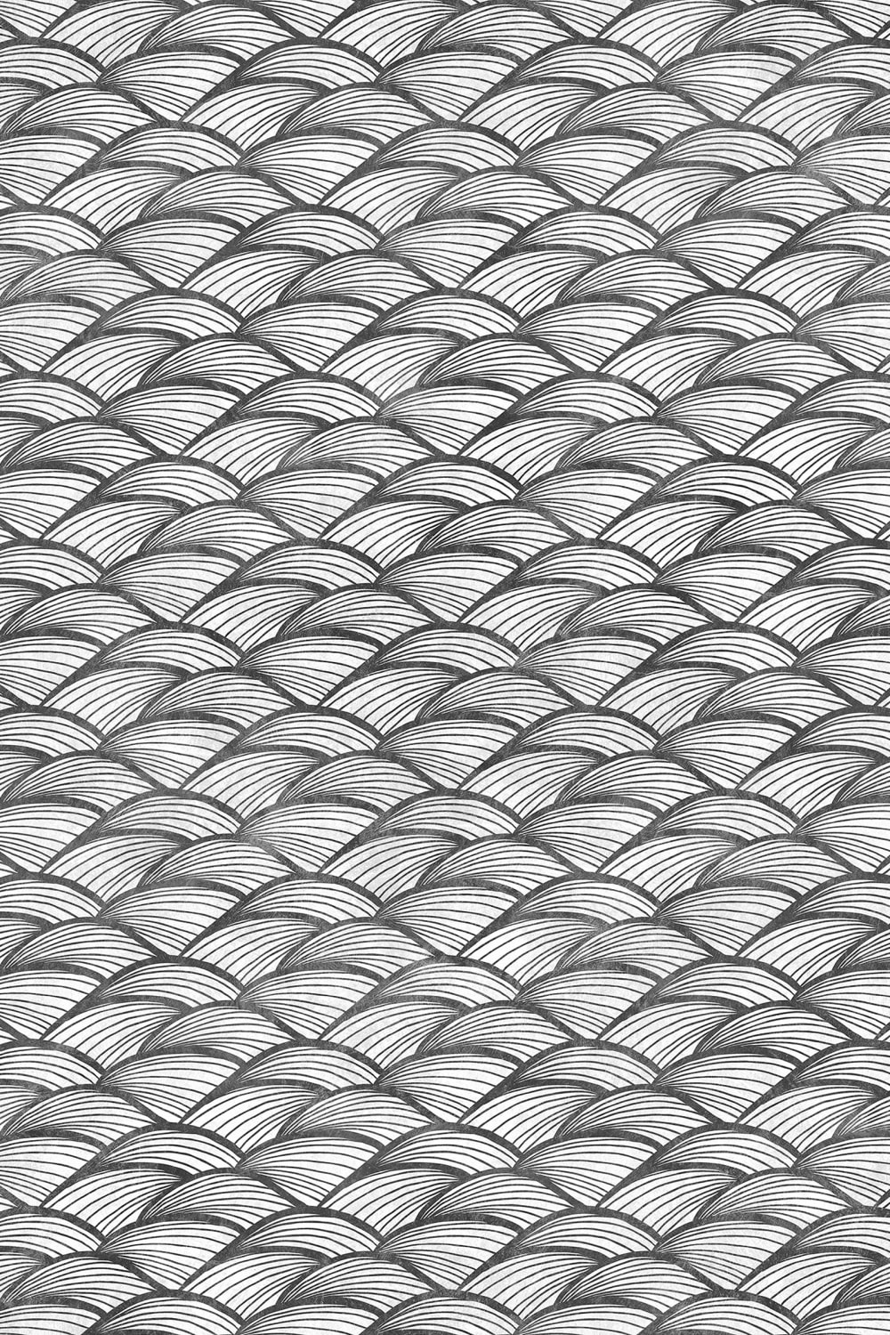 Ripple Graphite