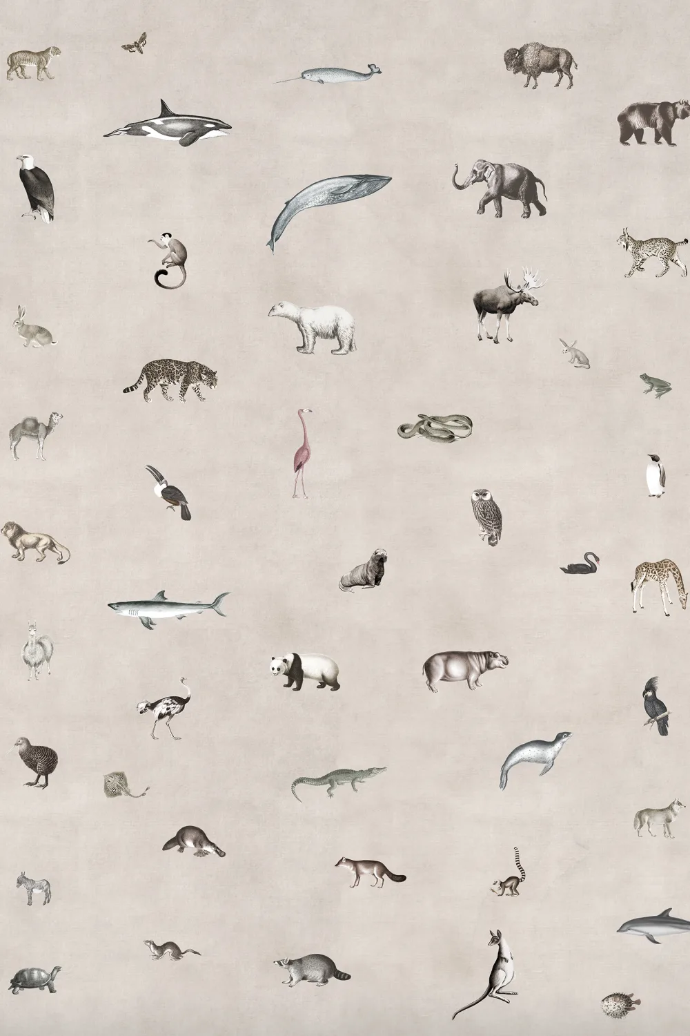Wildlife Sand