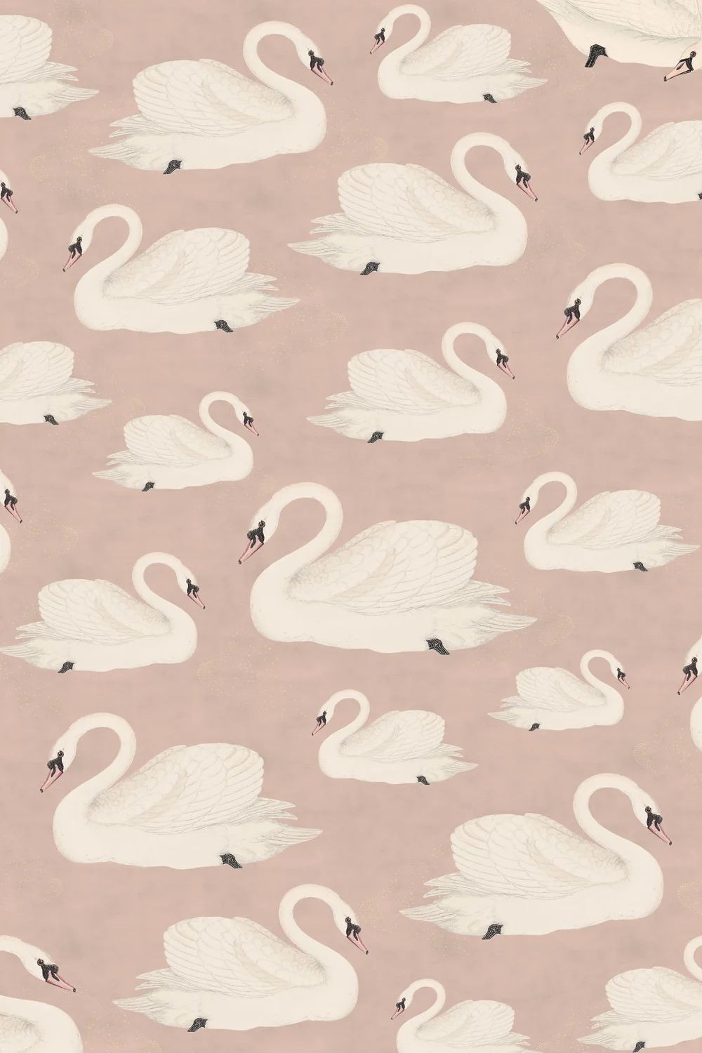 Graceful Swans