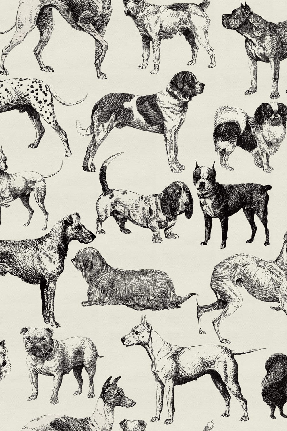 Een verzameling honden
