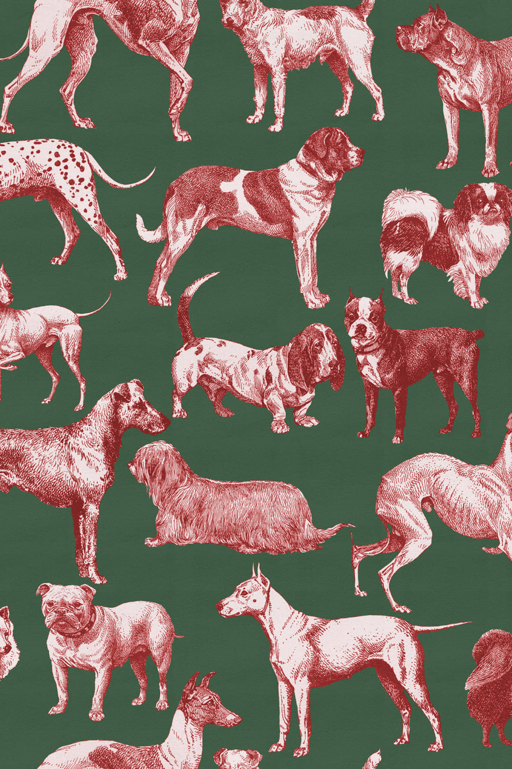 Dogs in Red