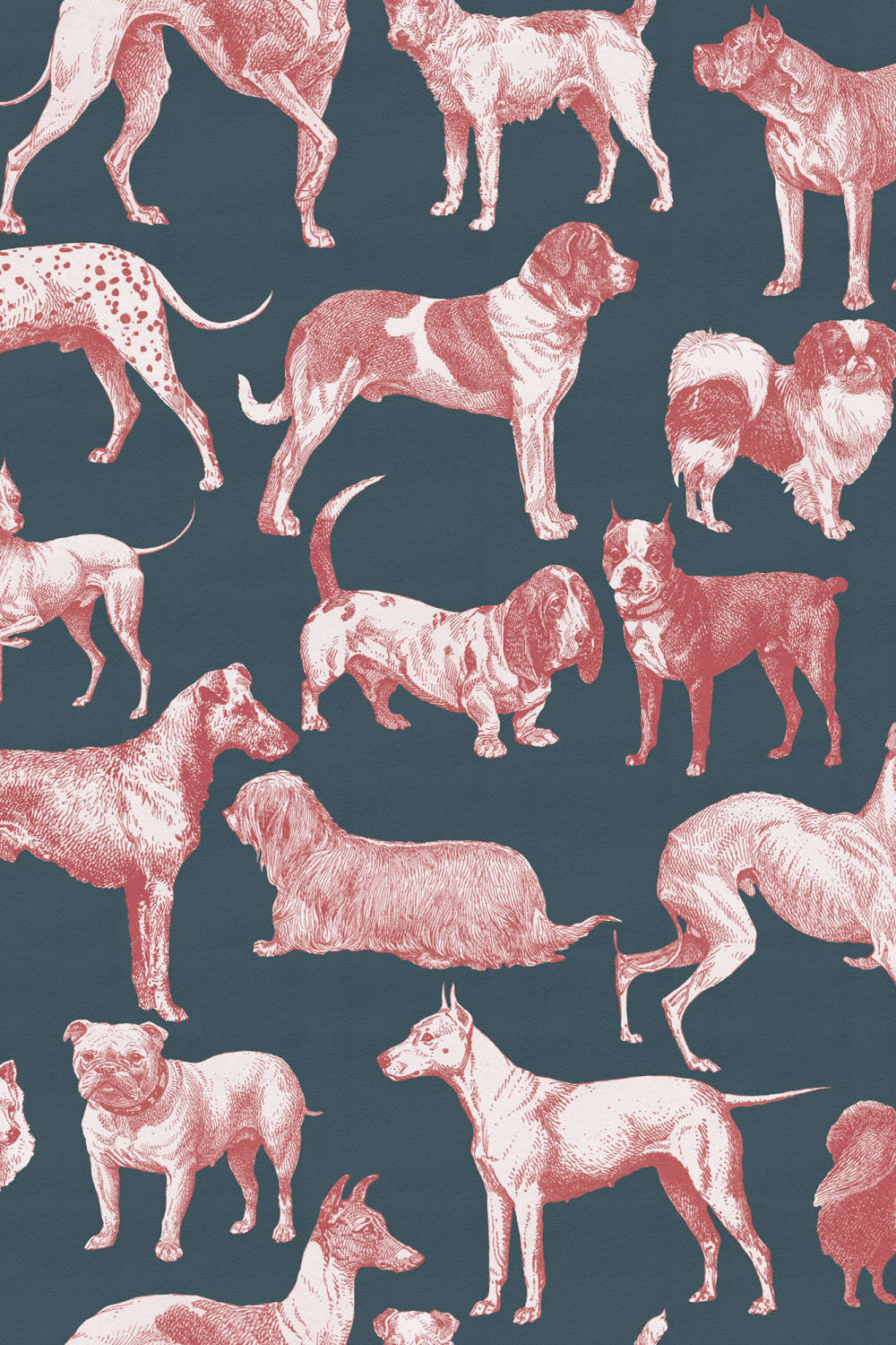 Who Let the Dogs Out?