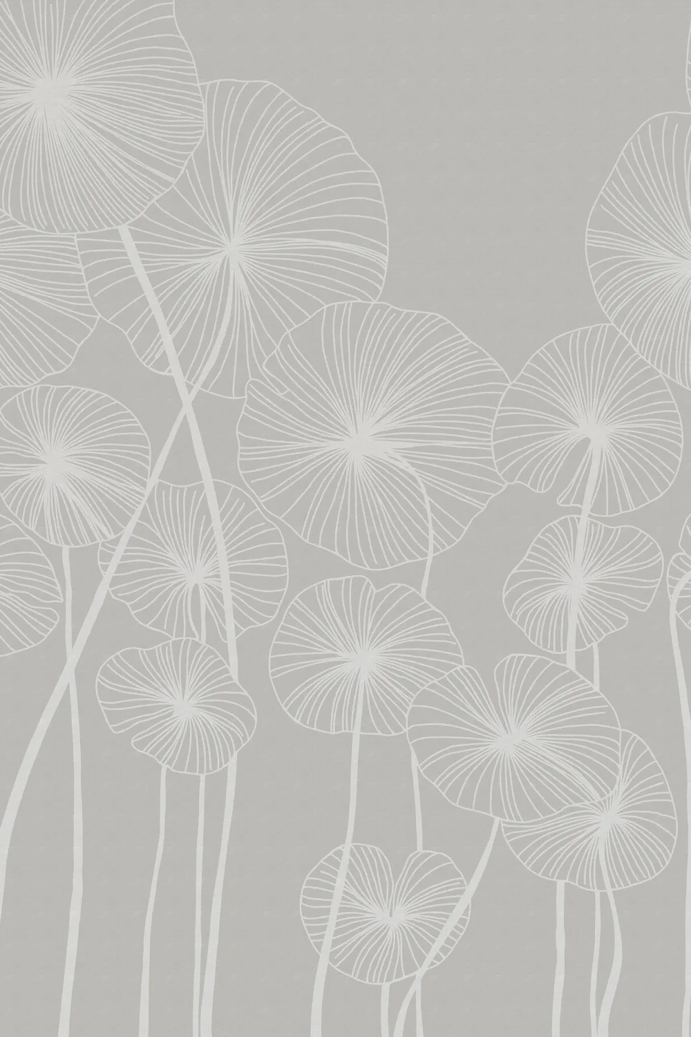 Soft Serenity