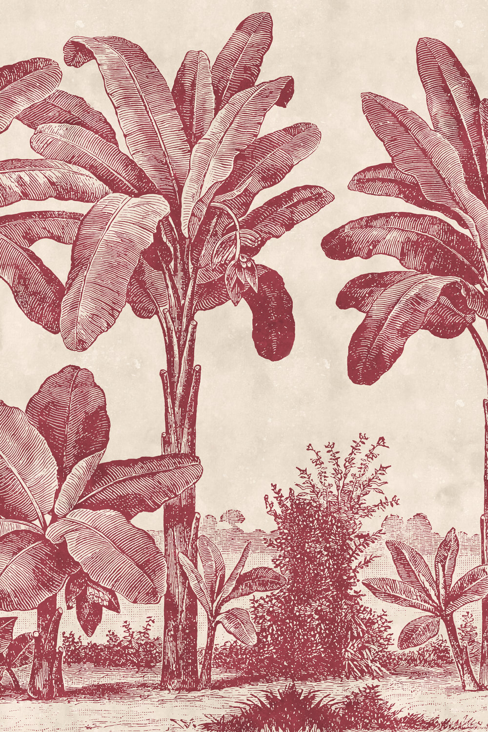 Senza tempo tropicale