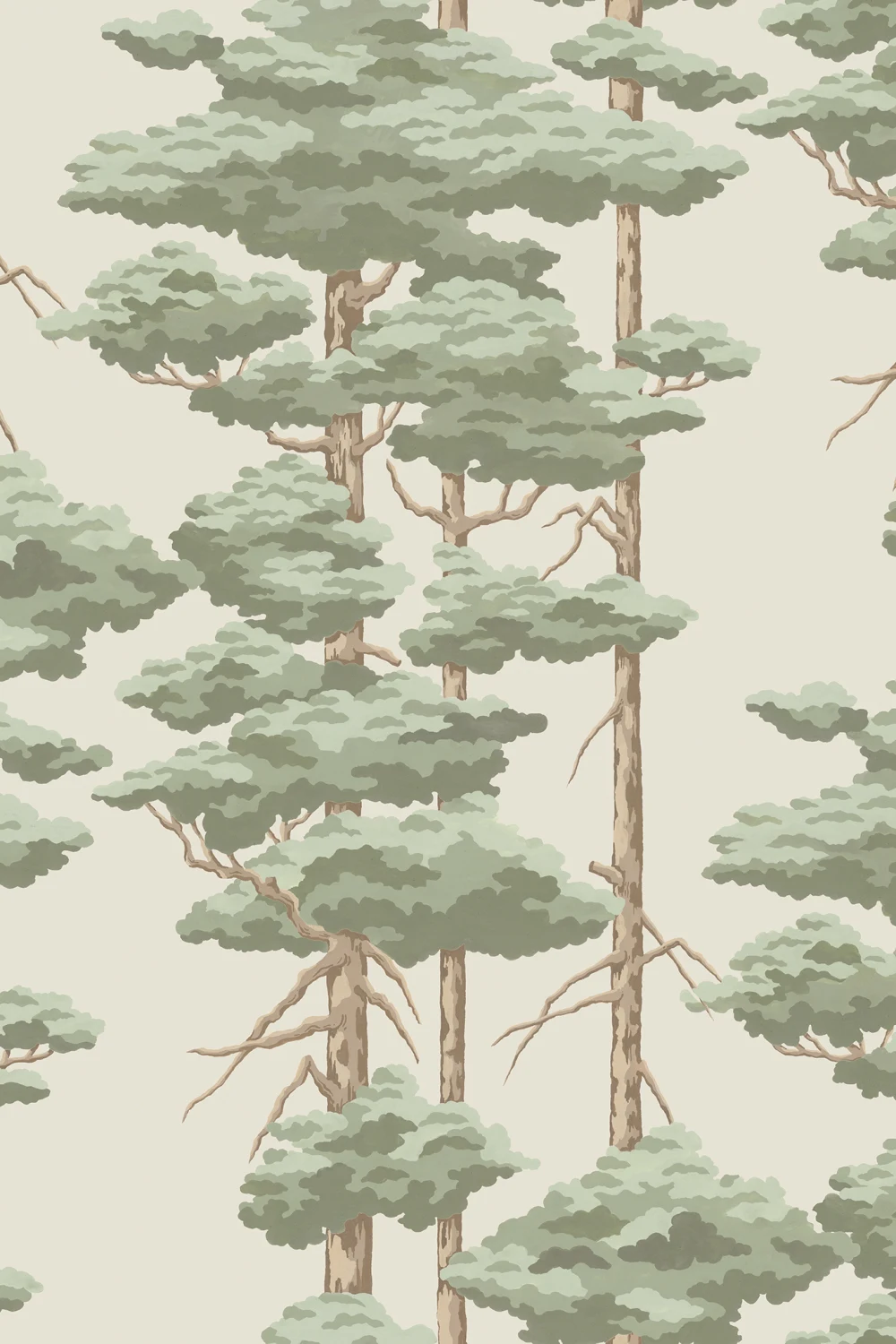 Pine Serenity