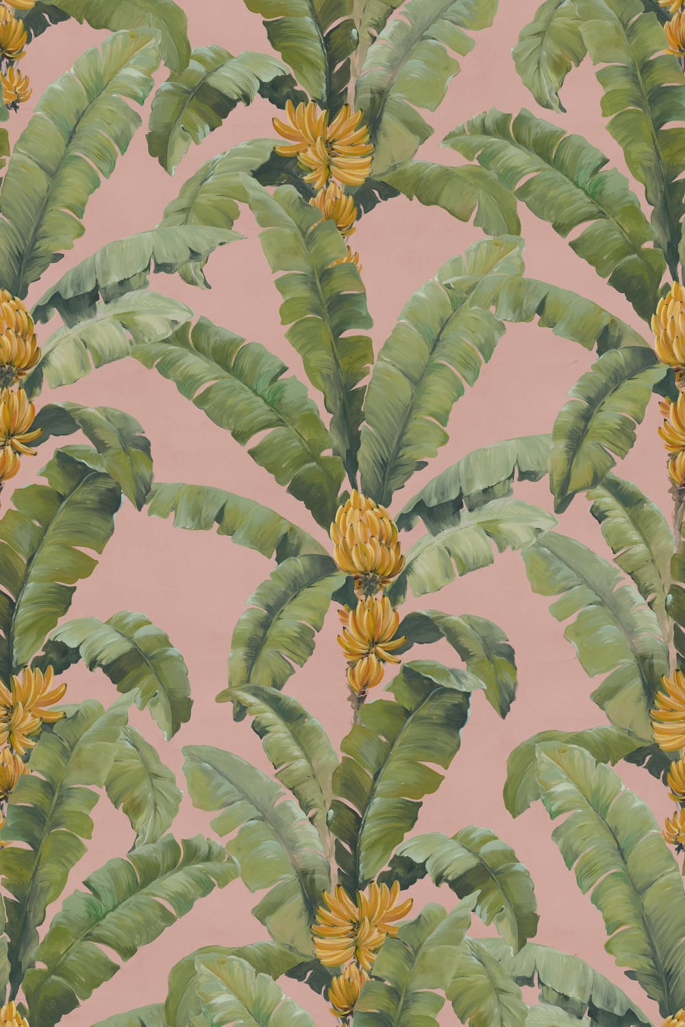 Abraza las vibraciones tropicales con hojas de plátano rosas