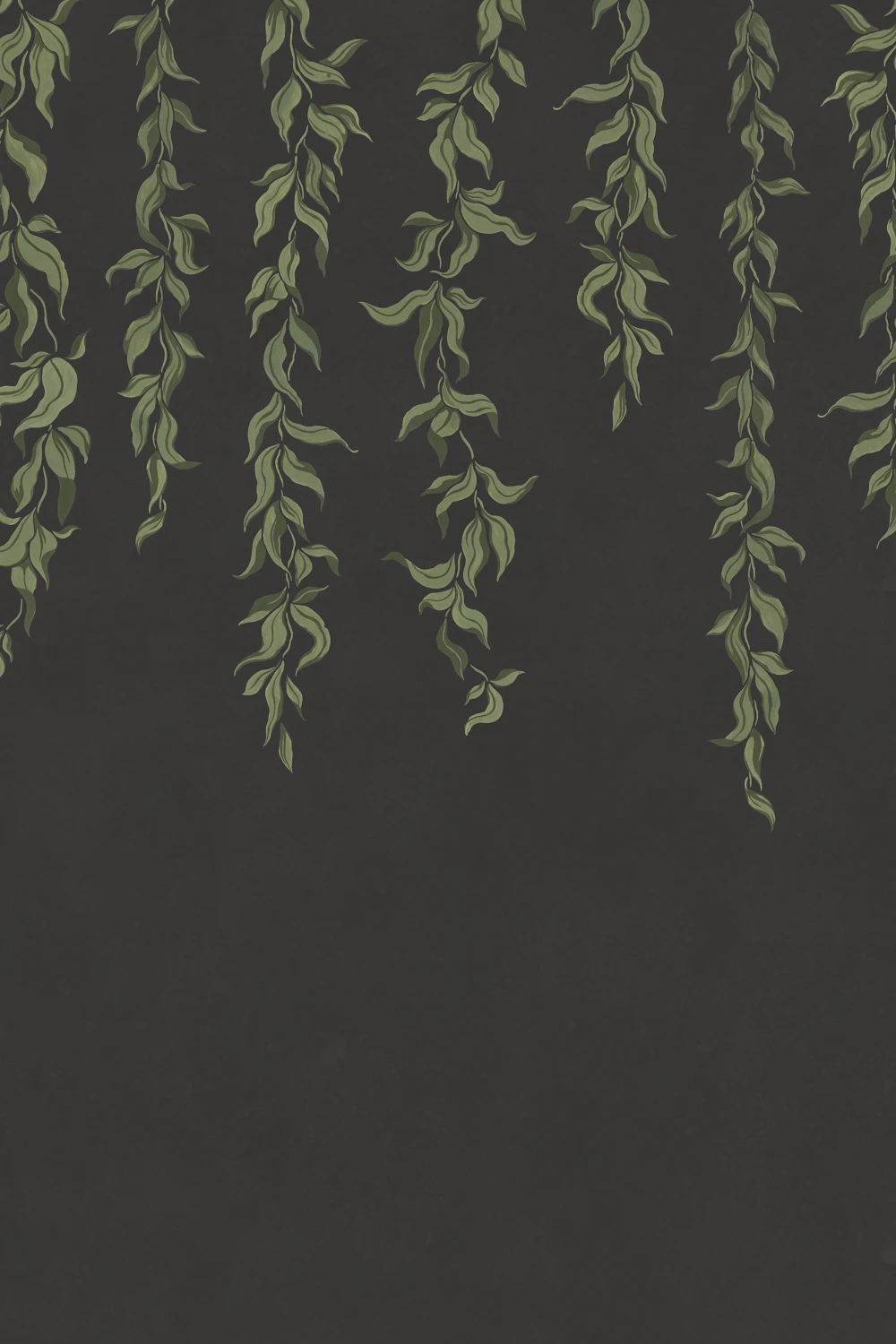 Daisance à feuilles gracieuses