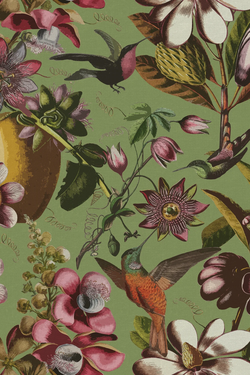 Kolibri's Garden Delight