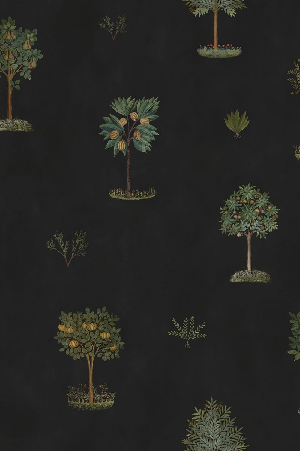 Celebrate Timeless Nature with Historic Trees