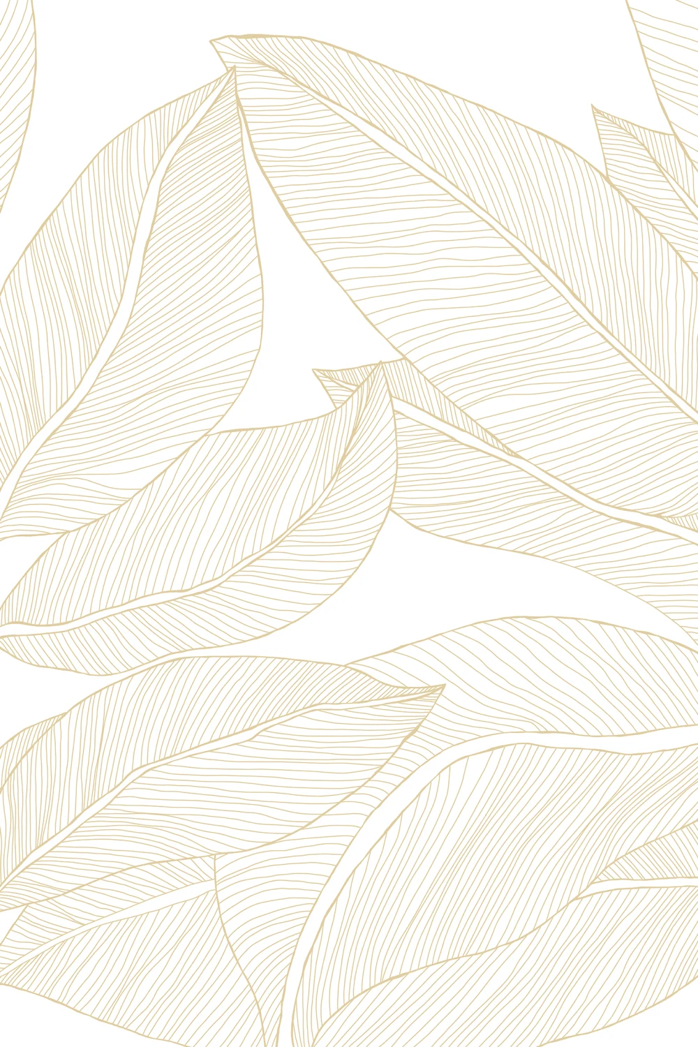 Embrace Natural Elegance with Ruby Lines