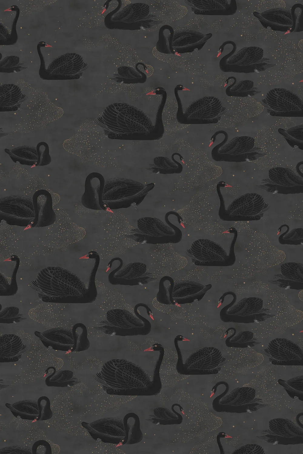 Expect the unexpected with a black swan wallpaper
