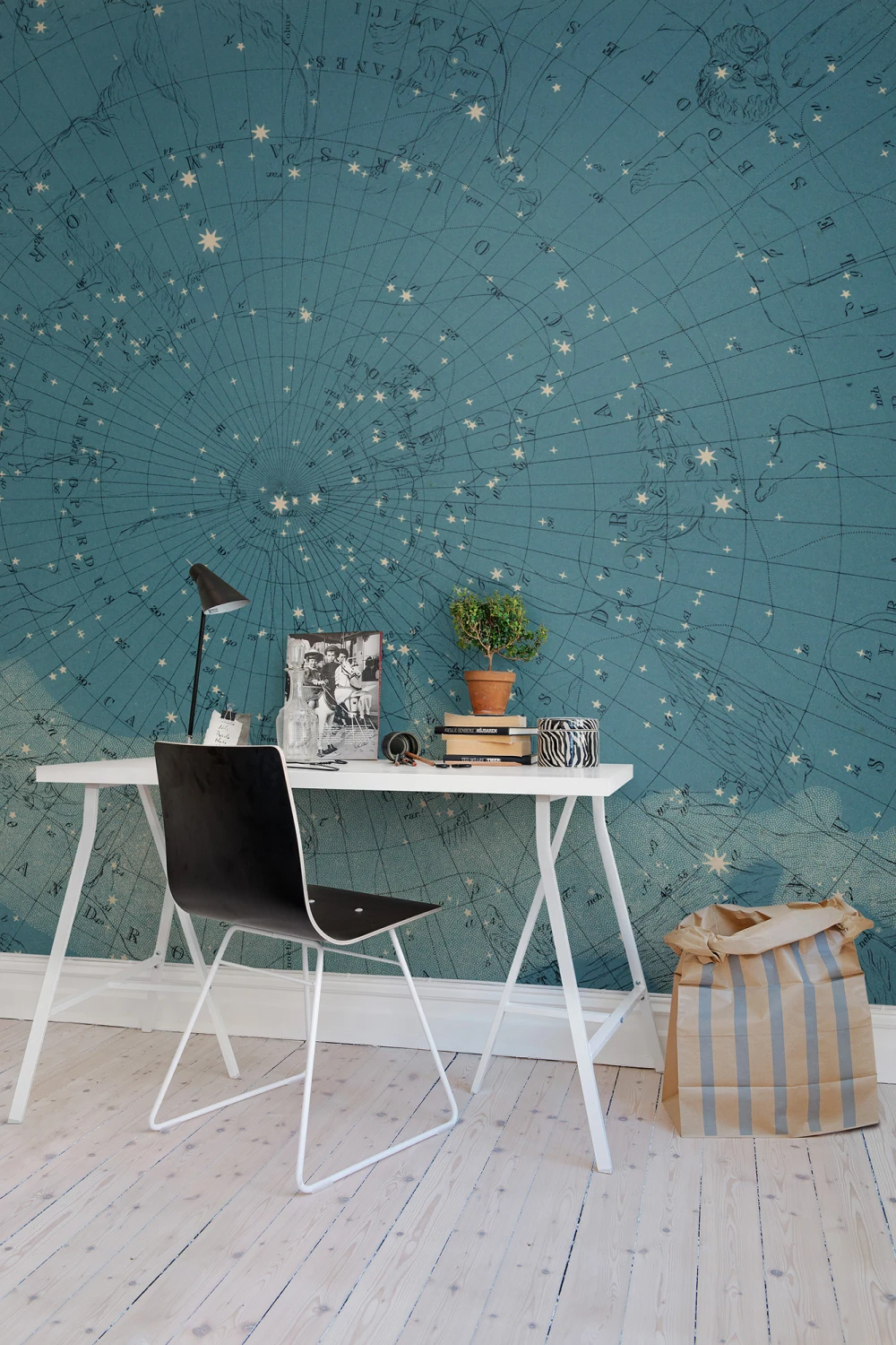 An astronomy wallpaper for the ceiling