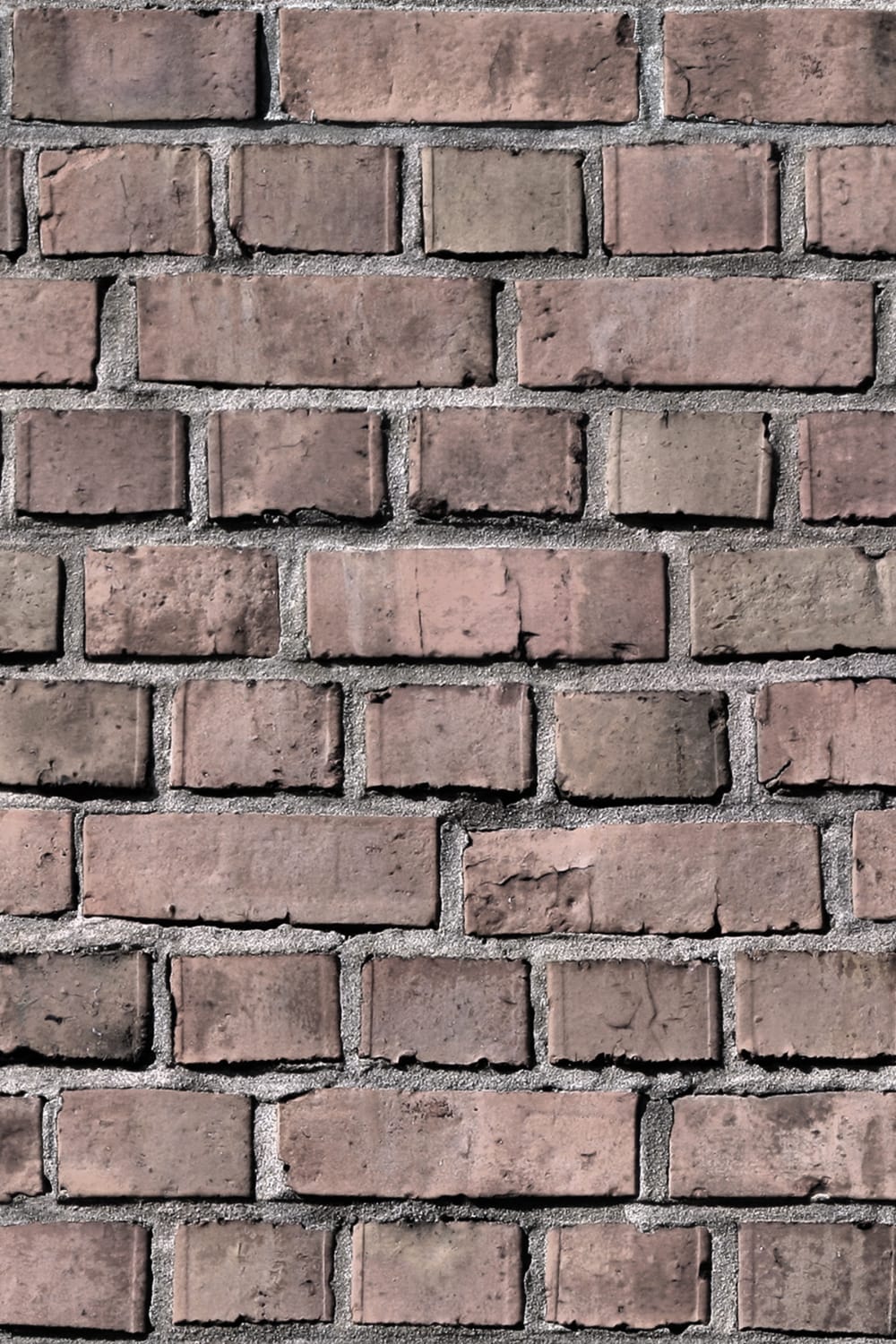 Bricks Clay