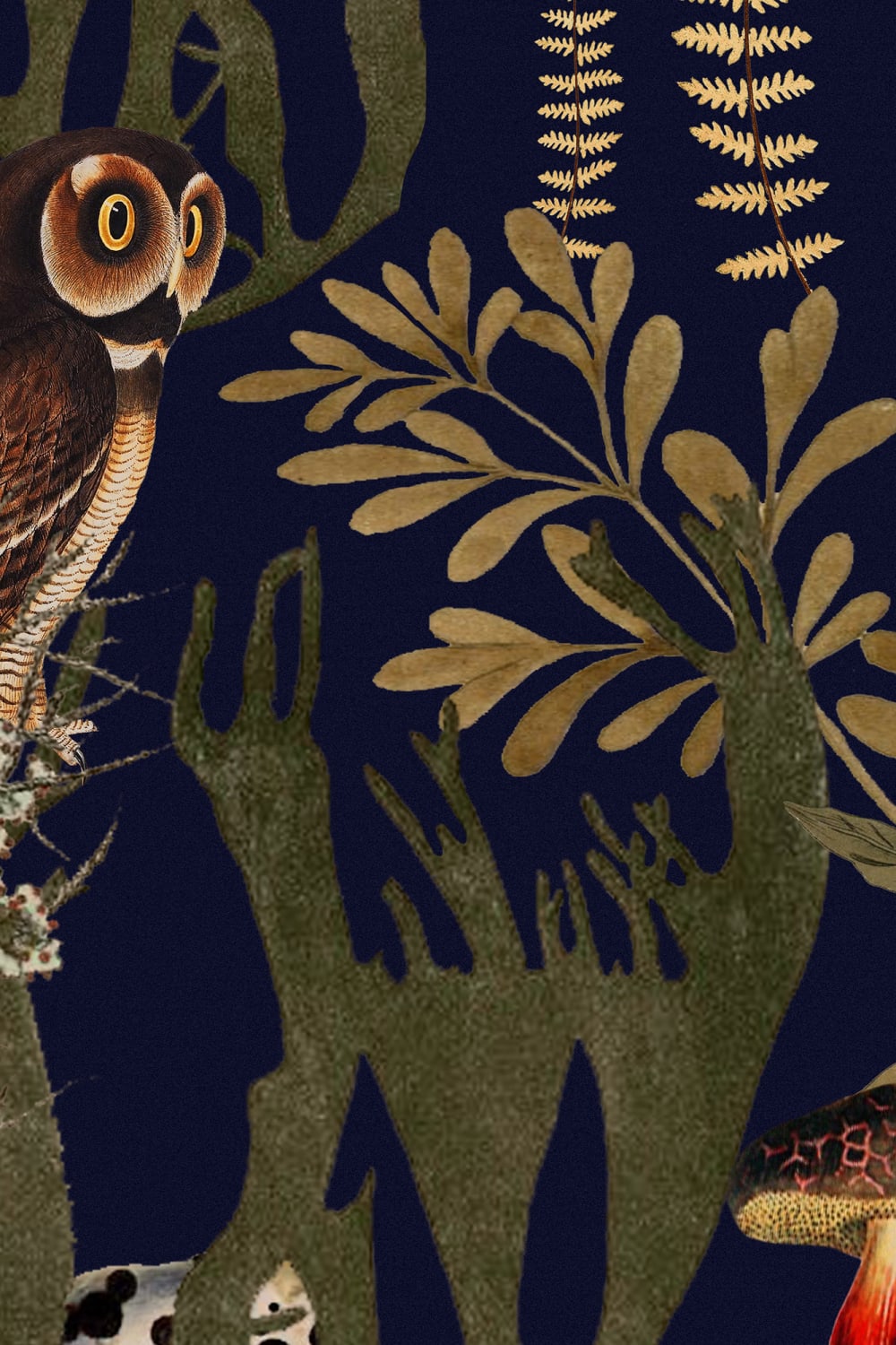 Well-composed wallpaper with vigilant owls