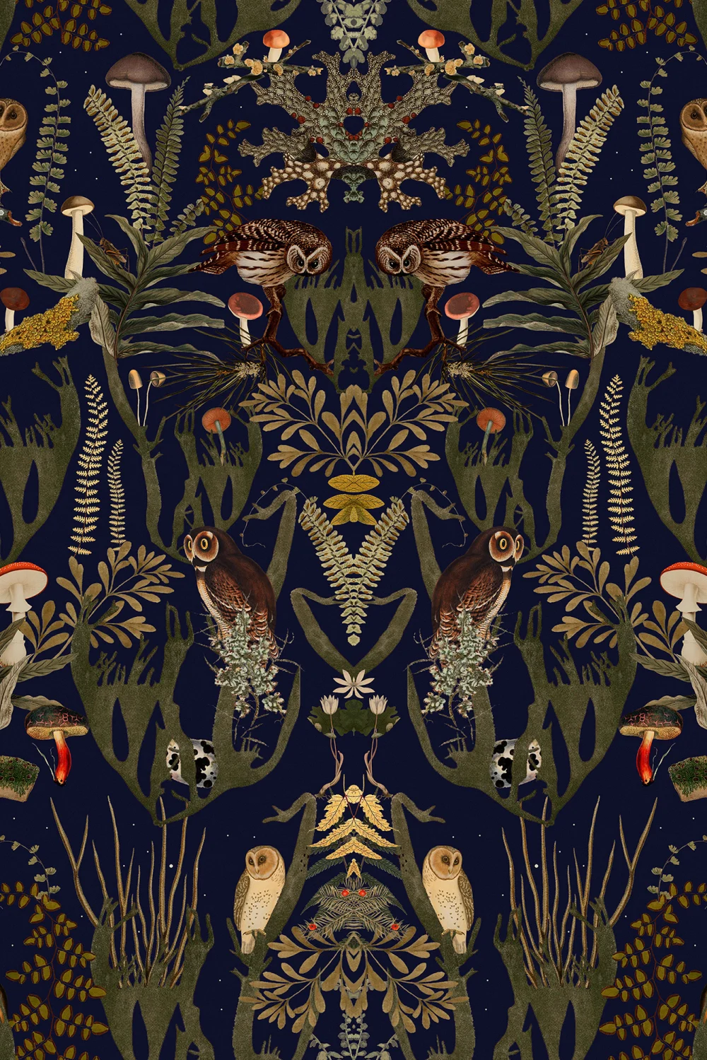 Well-composed wallpaper with vigilant owls