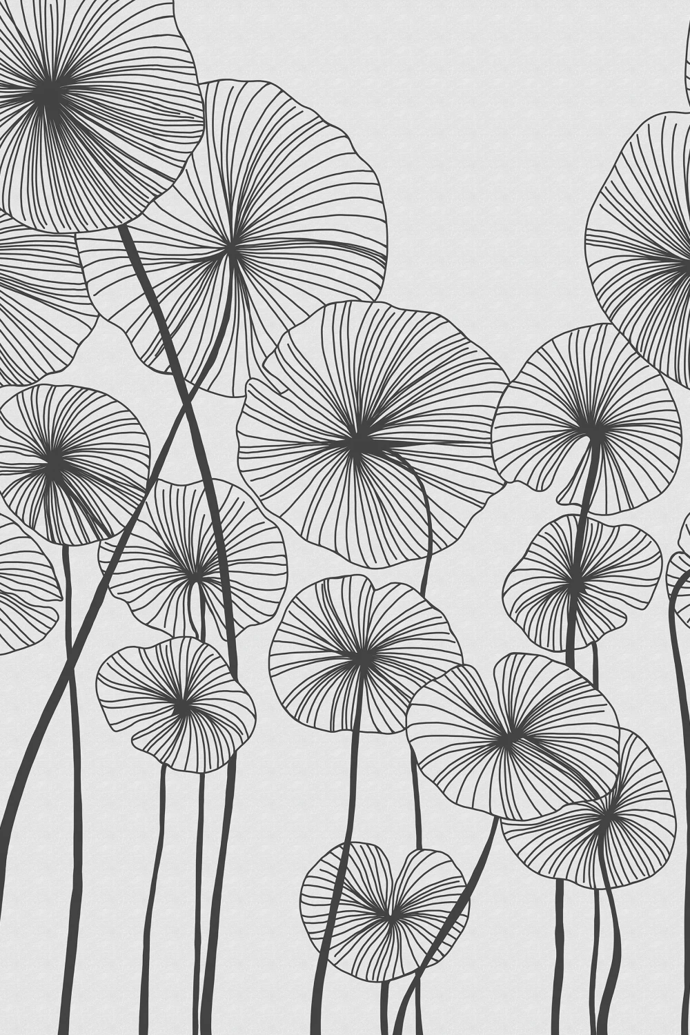 Minimalist Elegance