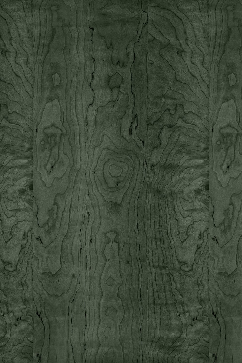 Luxurious Wood, Green - Wall Mural - Rebel Walls