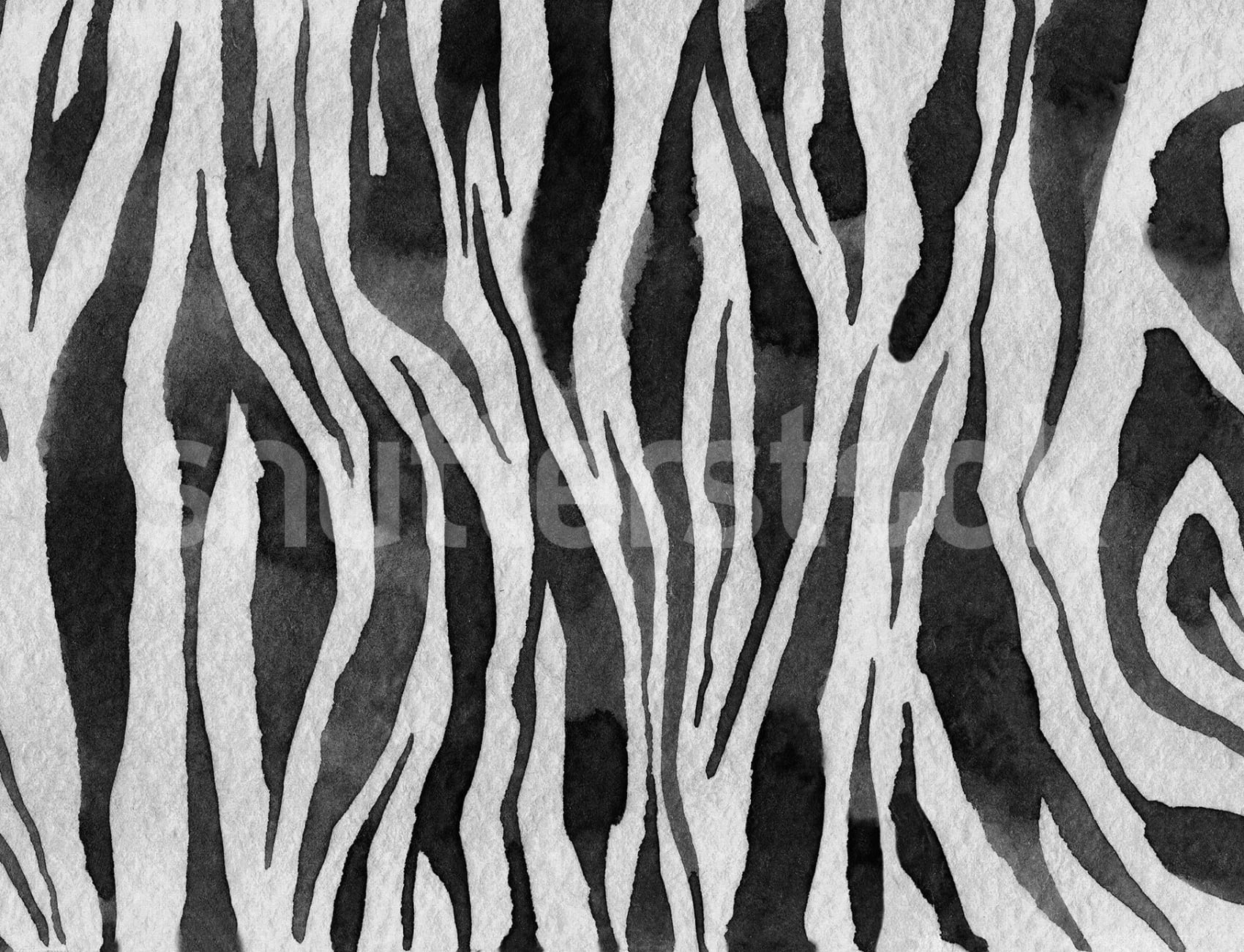 Zebra Stripes, Graphite