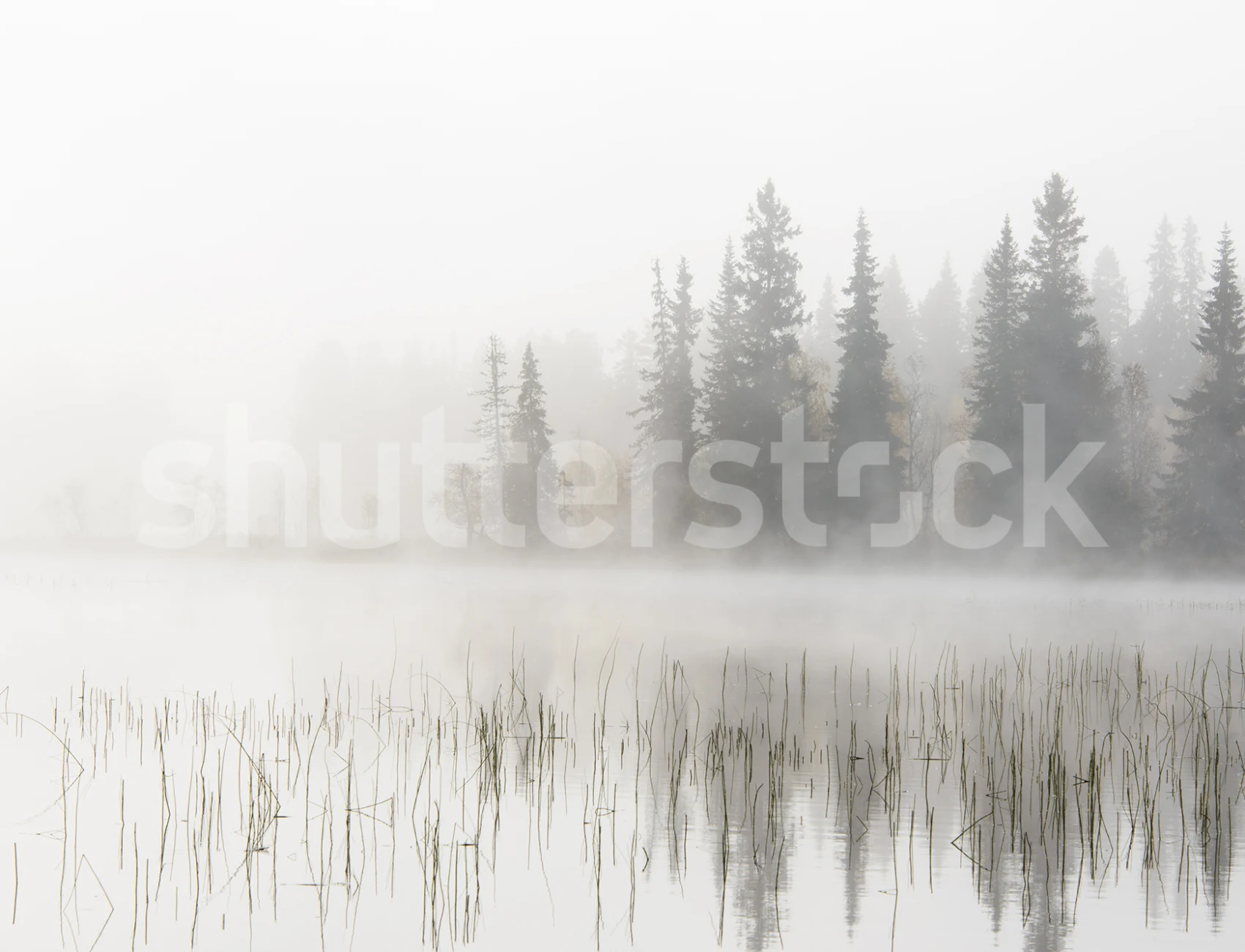 Talviaamu järven rannalla