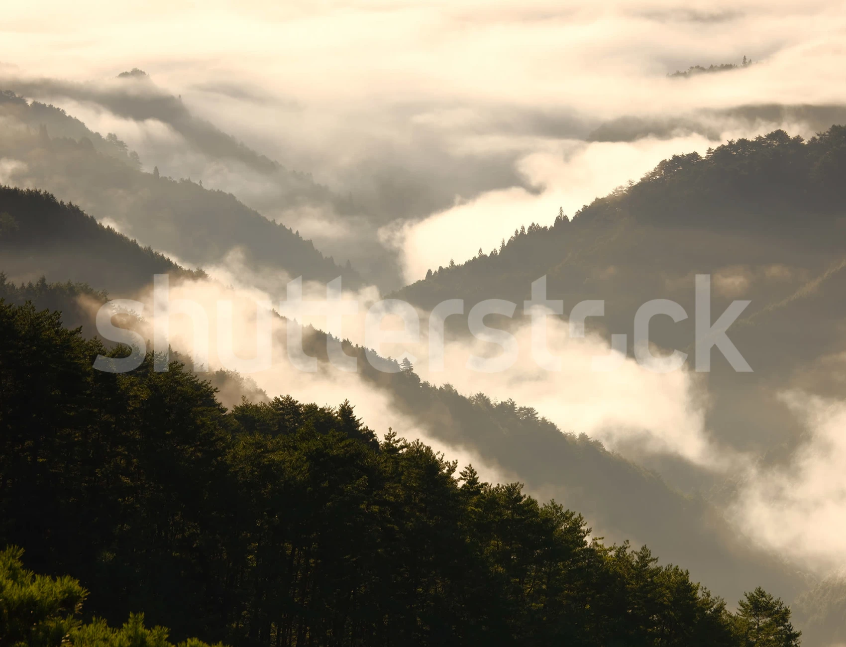 Vue des montagnes