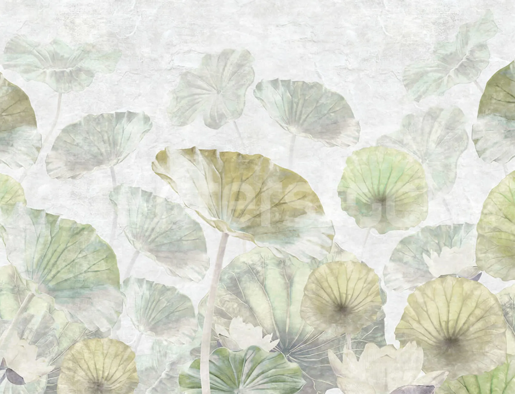 The Beauty of Lotus Flowers