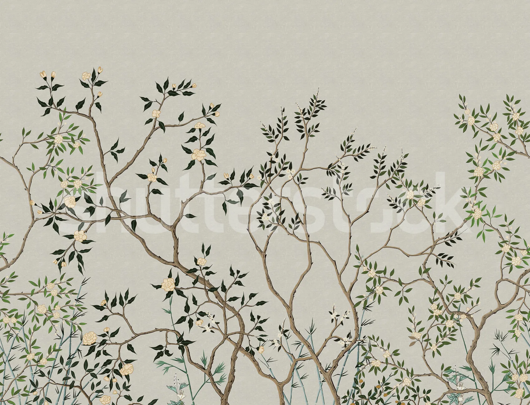 Oriental Beauty in Full Bloom