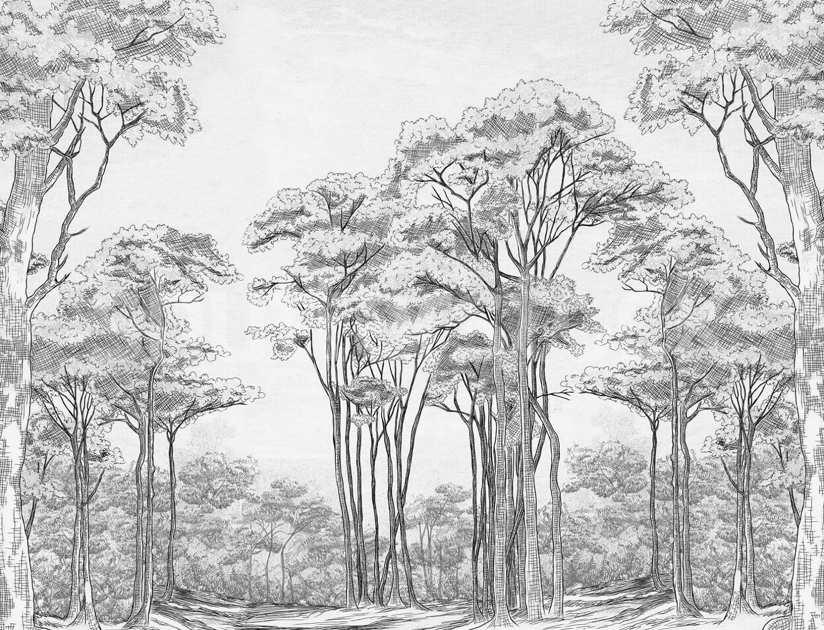 Black White Trees