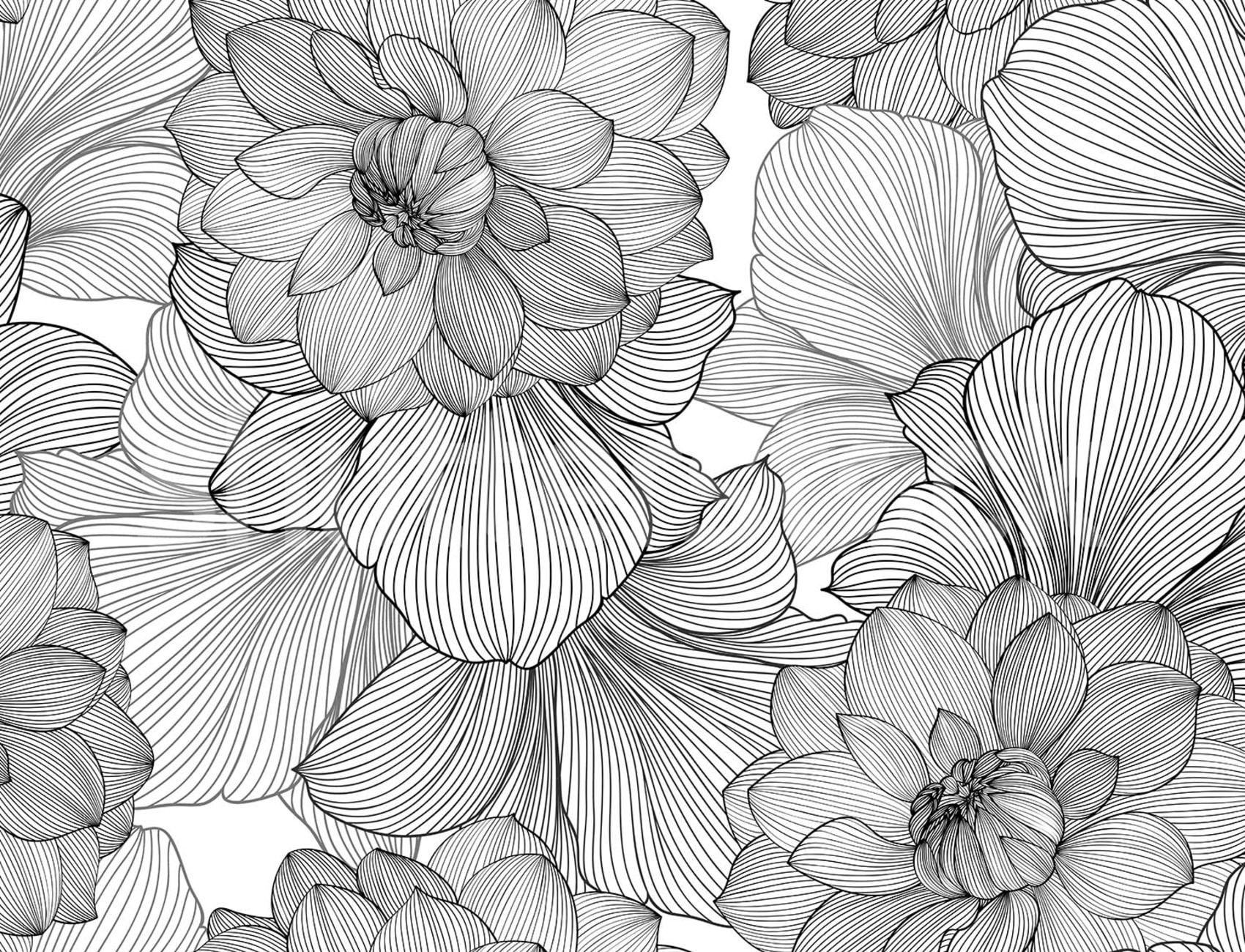 Des fleurs d'un graphisme saisissant