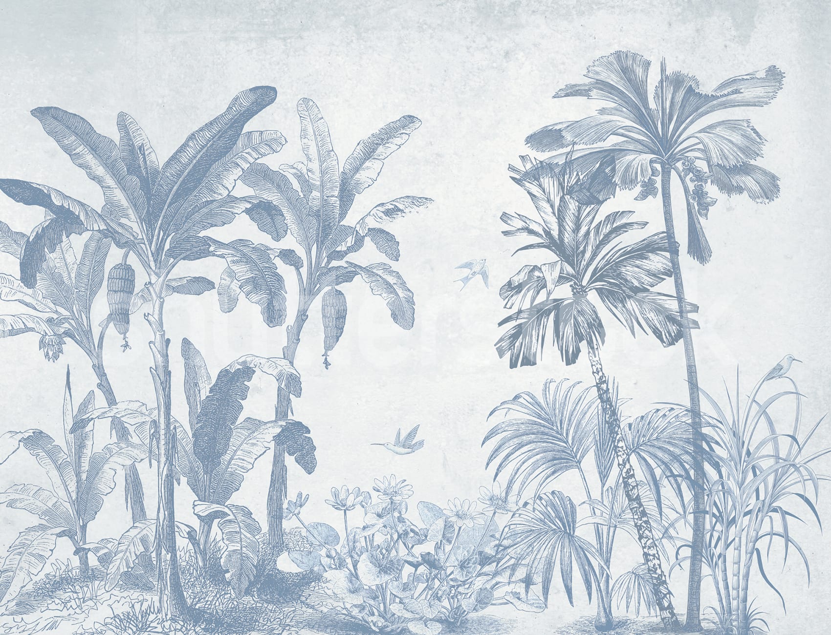 Escapade dans la jungle éthérée