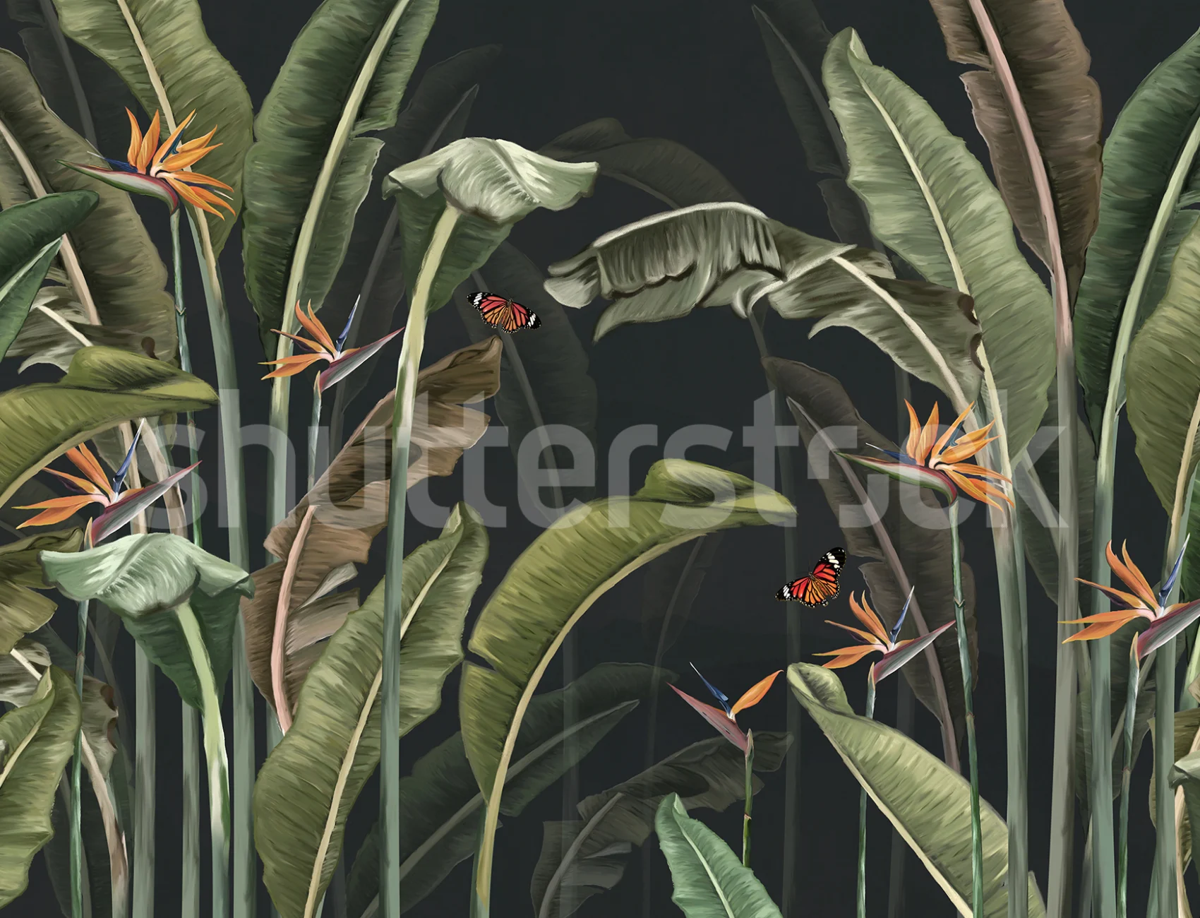 Midnight Jungle Magic