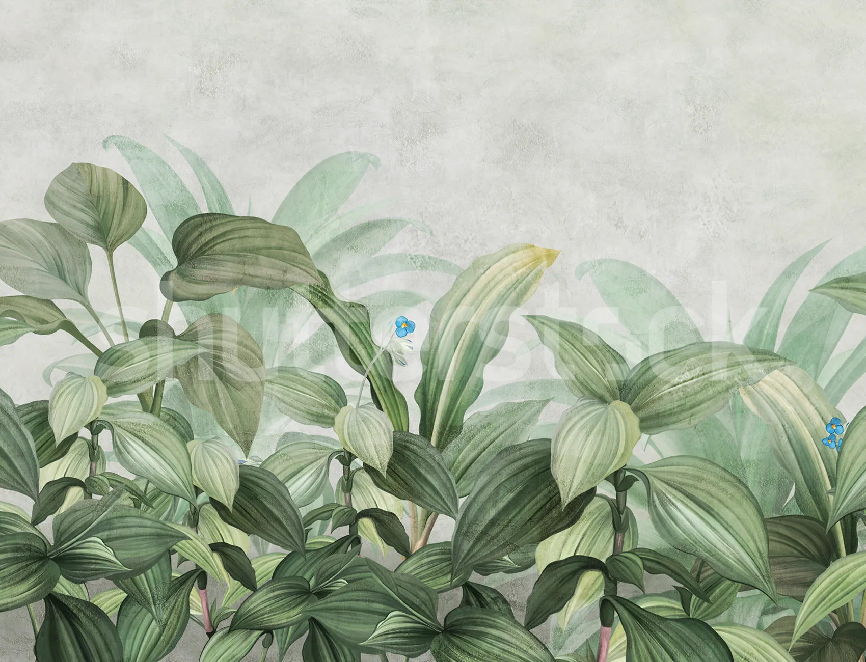 Frodig Hosta Dream