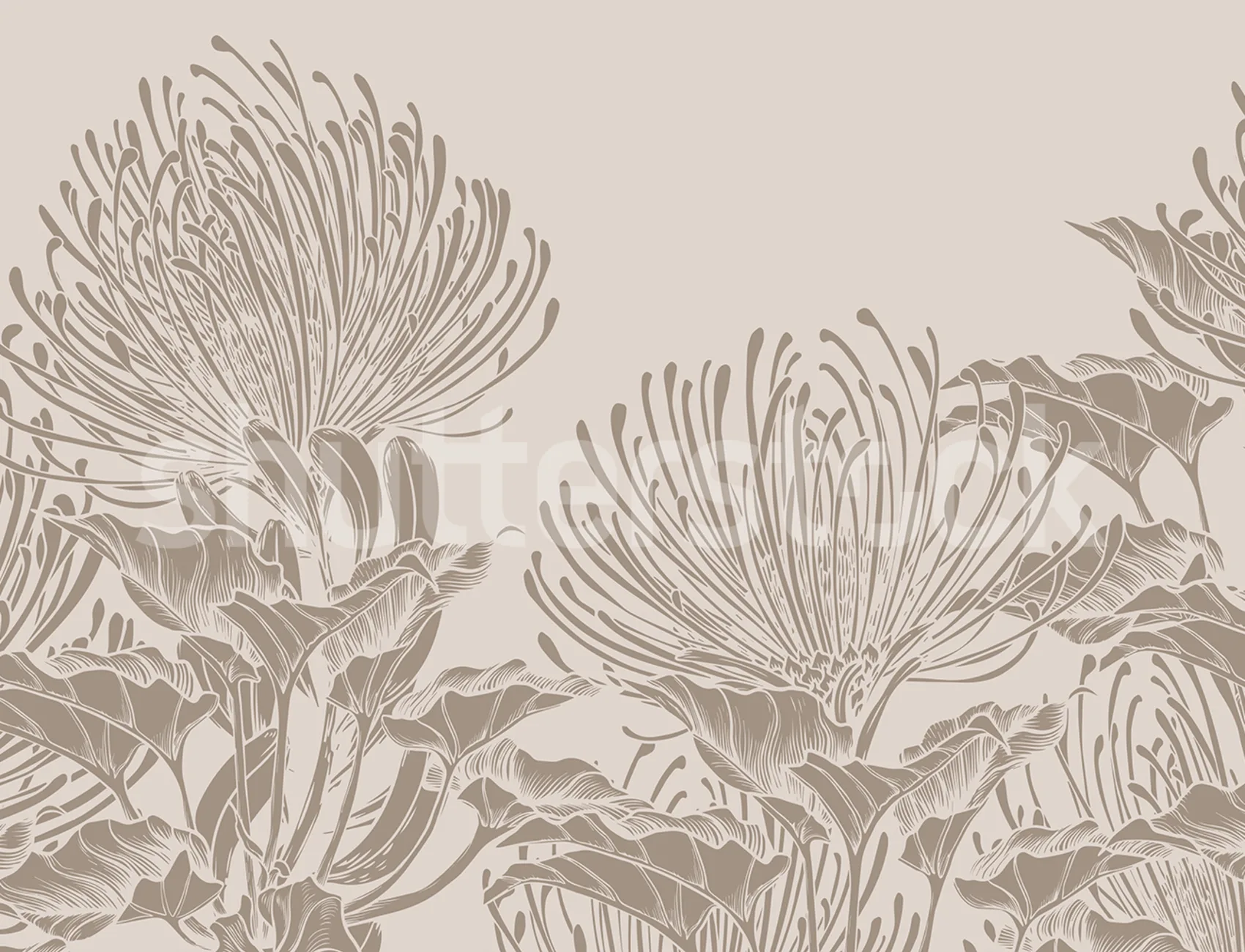 Protea Elegance