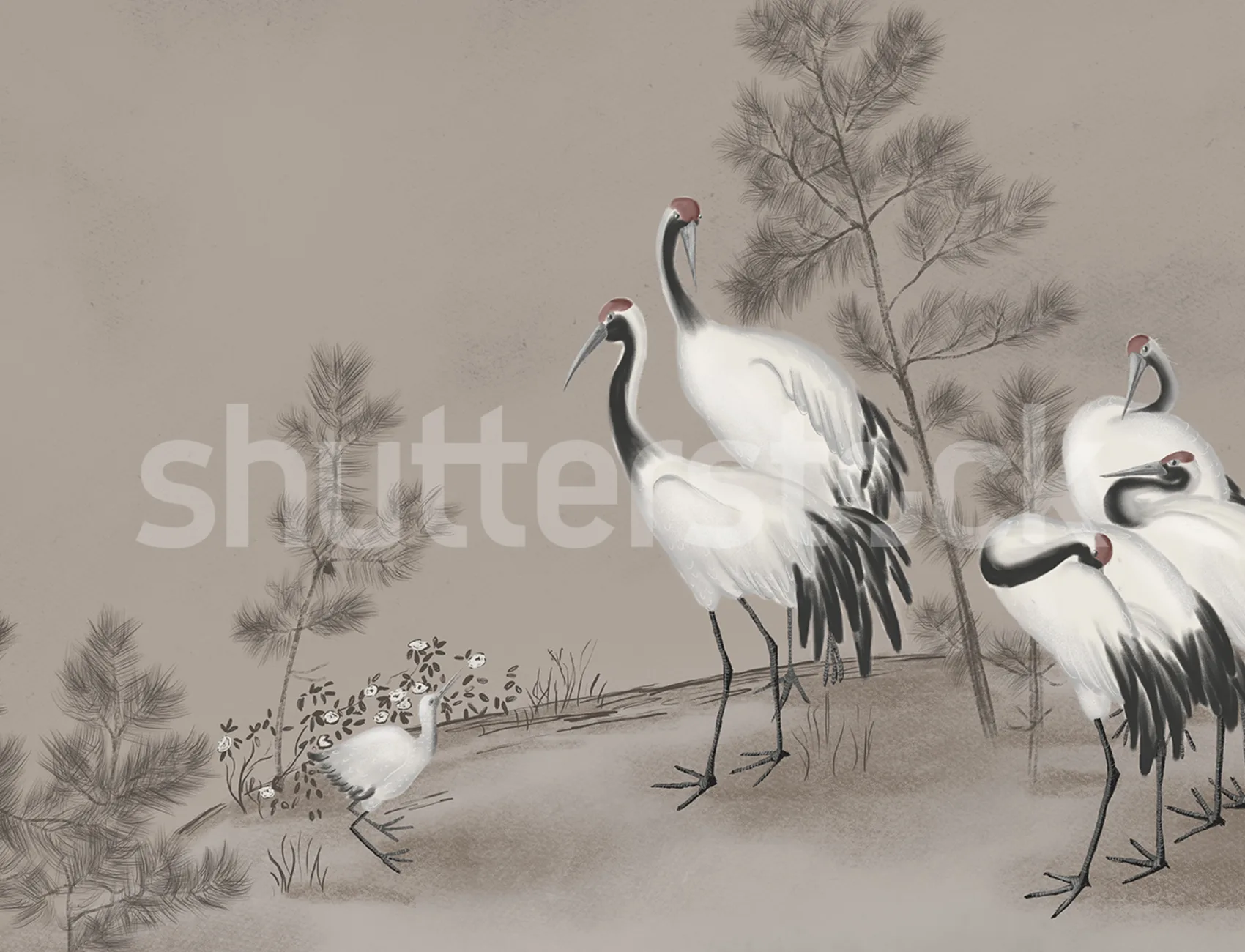 Graceful Elegance in Whispering Cranes