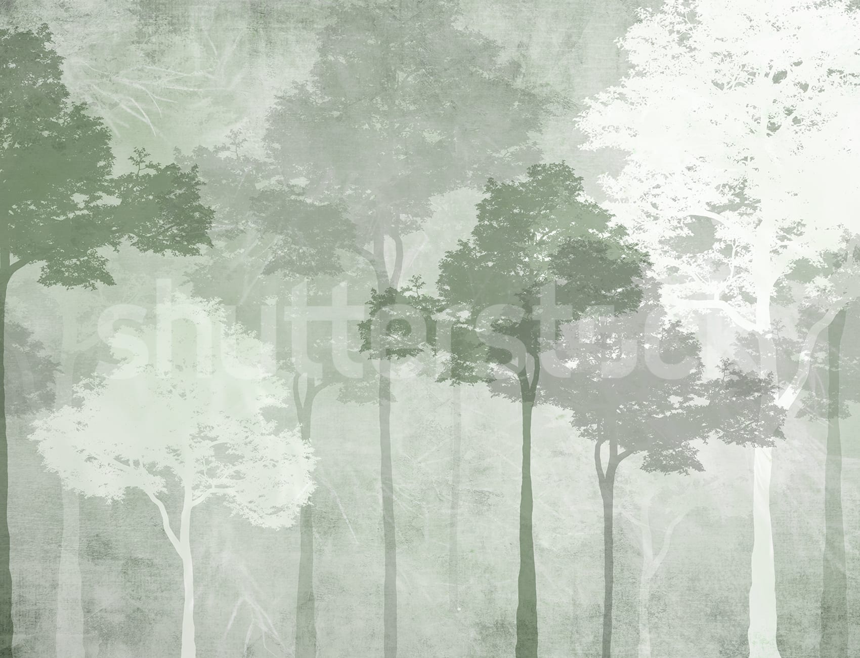 Αγκαλιάστε την ηρεμία των Silent Woods