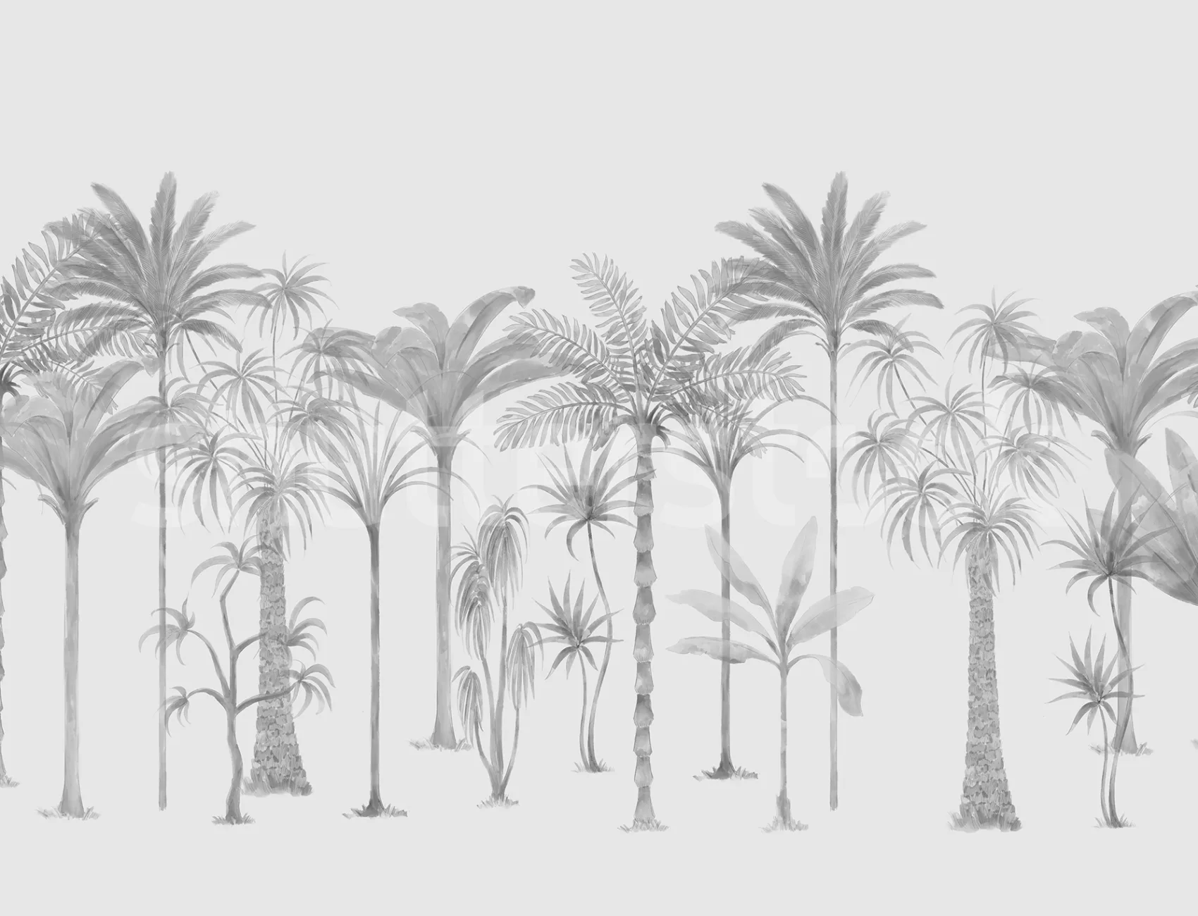 Adoptez la tranquillité avec des palmiers espiègles